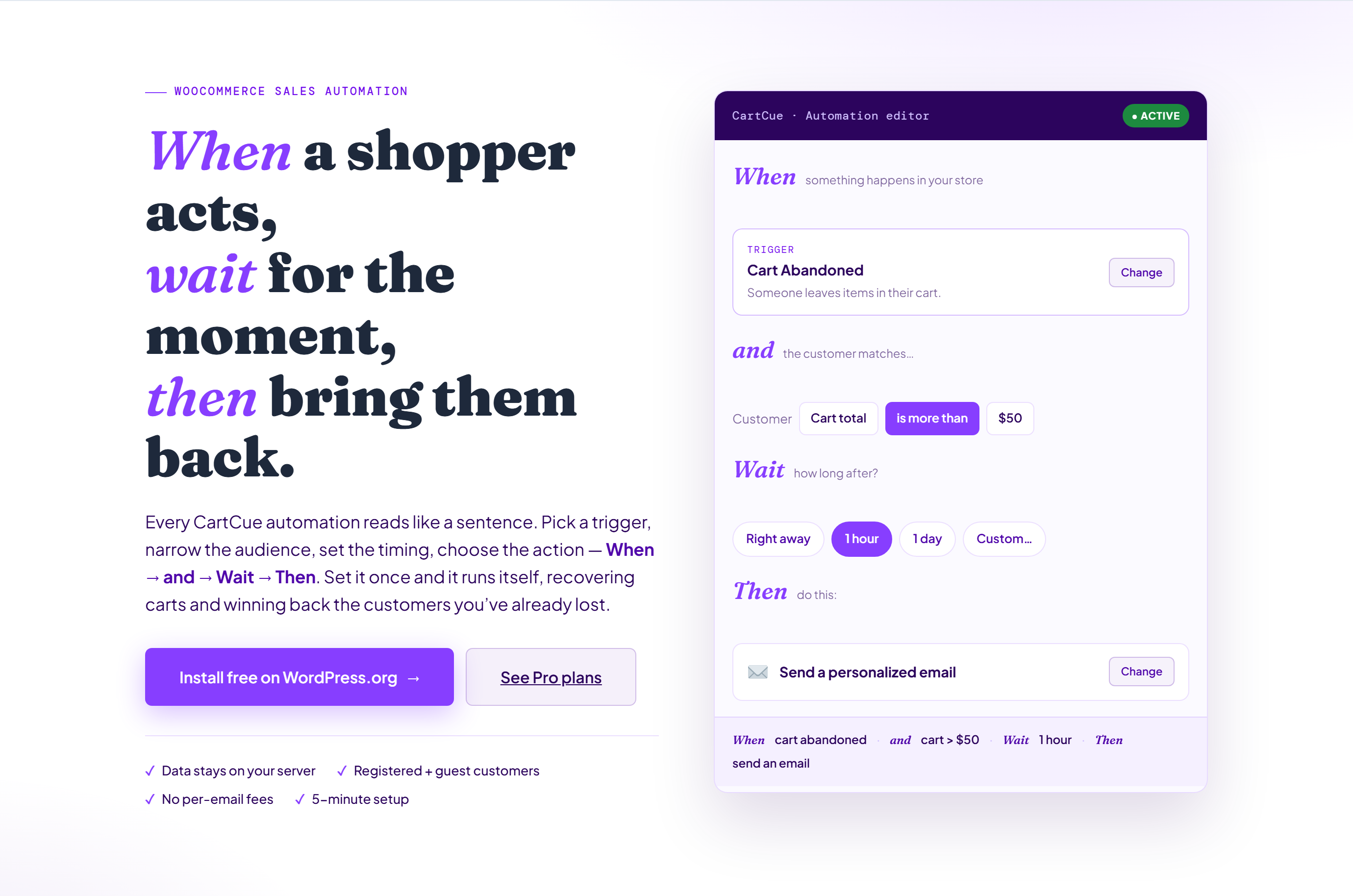 CartCue - Sales Automation for WooCommerce