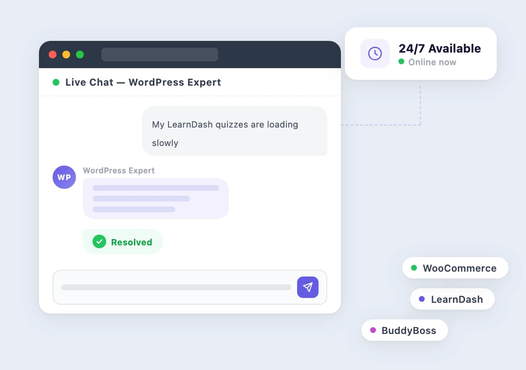 Live chat window with WordPress expert resolving a performance issue